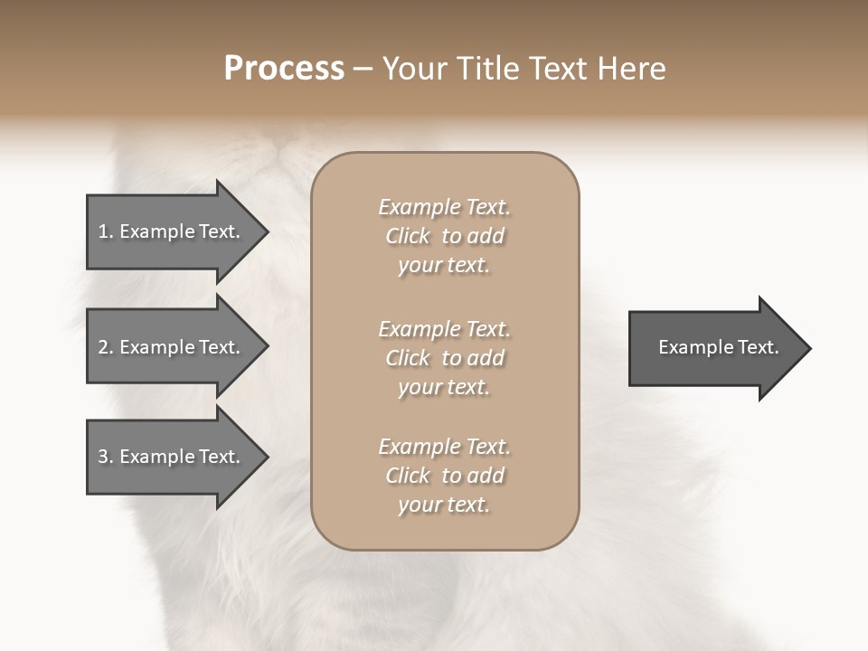 A Truck And Cardboard Box PowerPoint Template