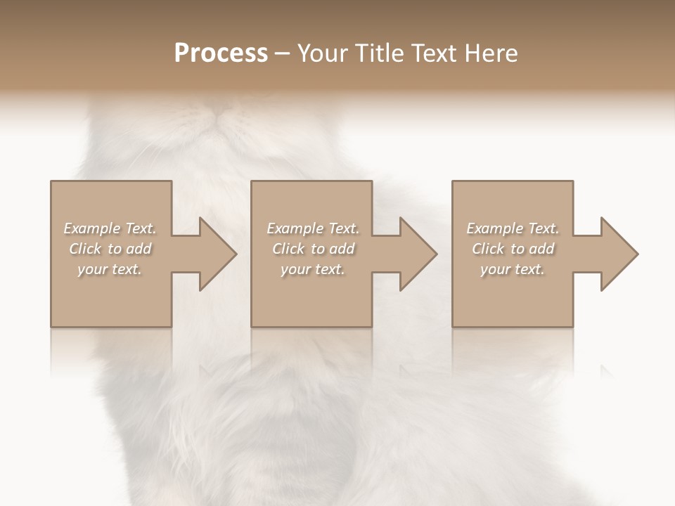A Truck And Cardboard Box PowerPoint Template