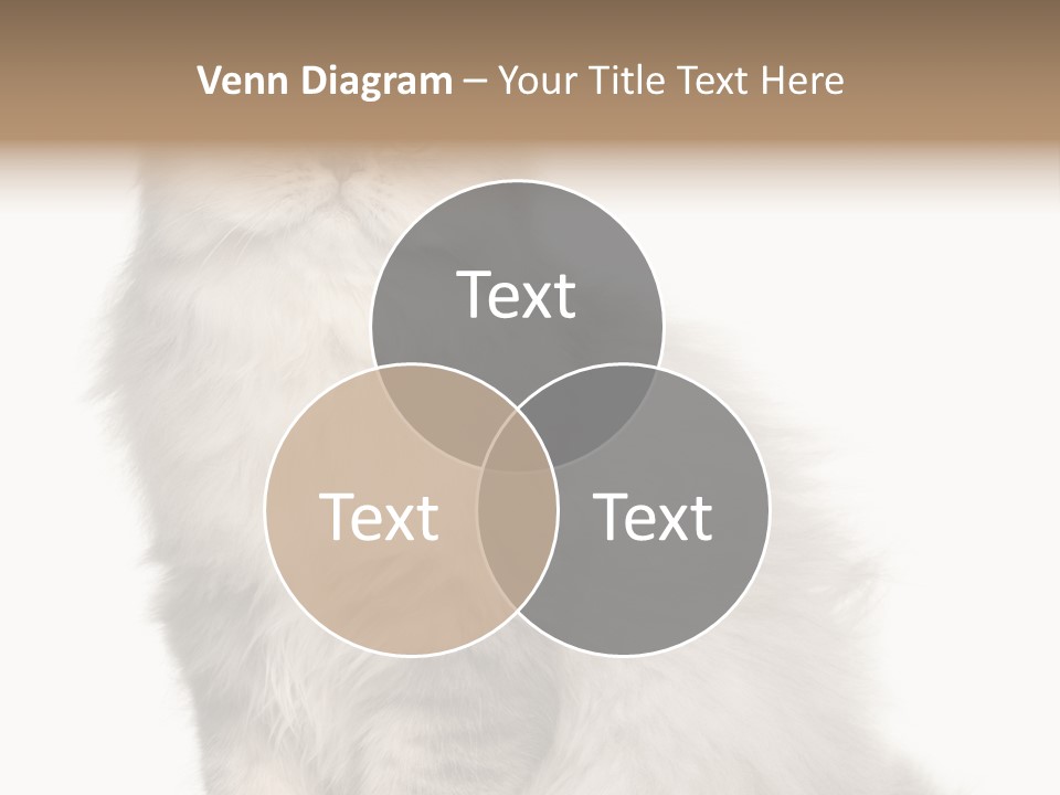 A Truck And Cardboard Box PowerPoint Template