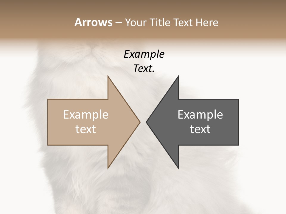 A Truck And Cardboard Box PowerPoint Template