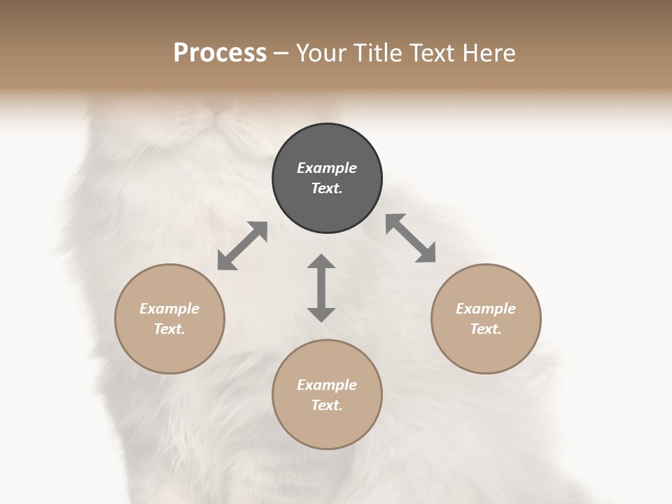 A Truck And Cardboard Box PowerPoint Template