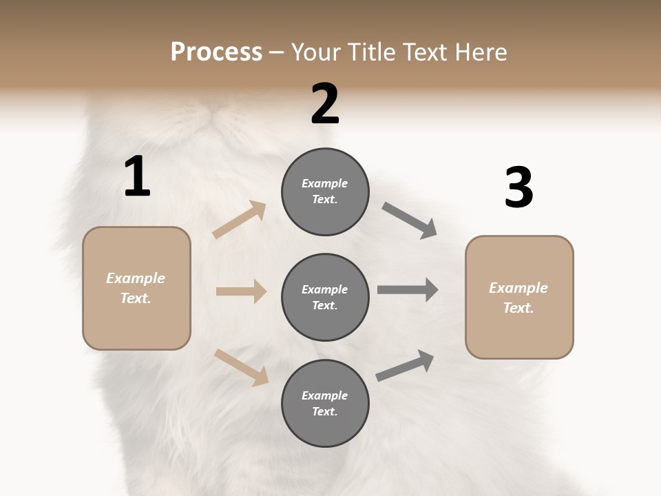 A Truck And Cardboard Box PowerPoint Template