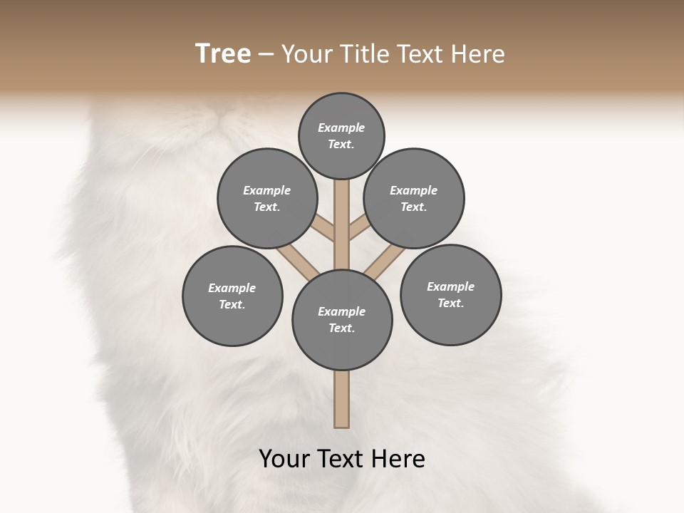 A Truck And Cardboard Box PowerPoint Template