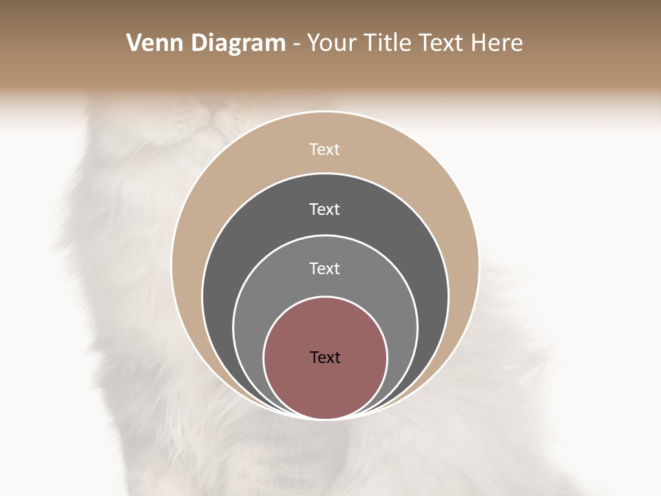 A Truck And Cardboard Box PowerPoint Template