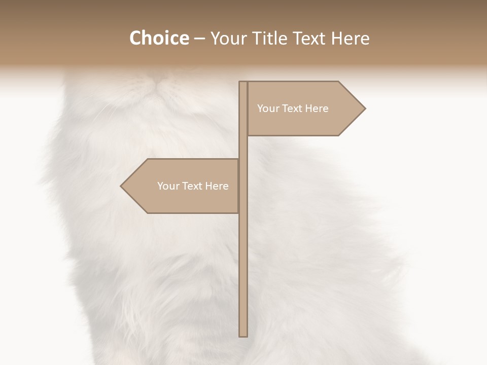 A Truck And Cardboard Box PowerPoint Template