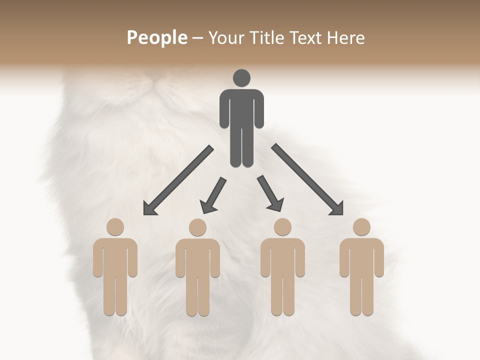 A Truck And Cardboard Box PowerPoint Template