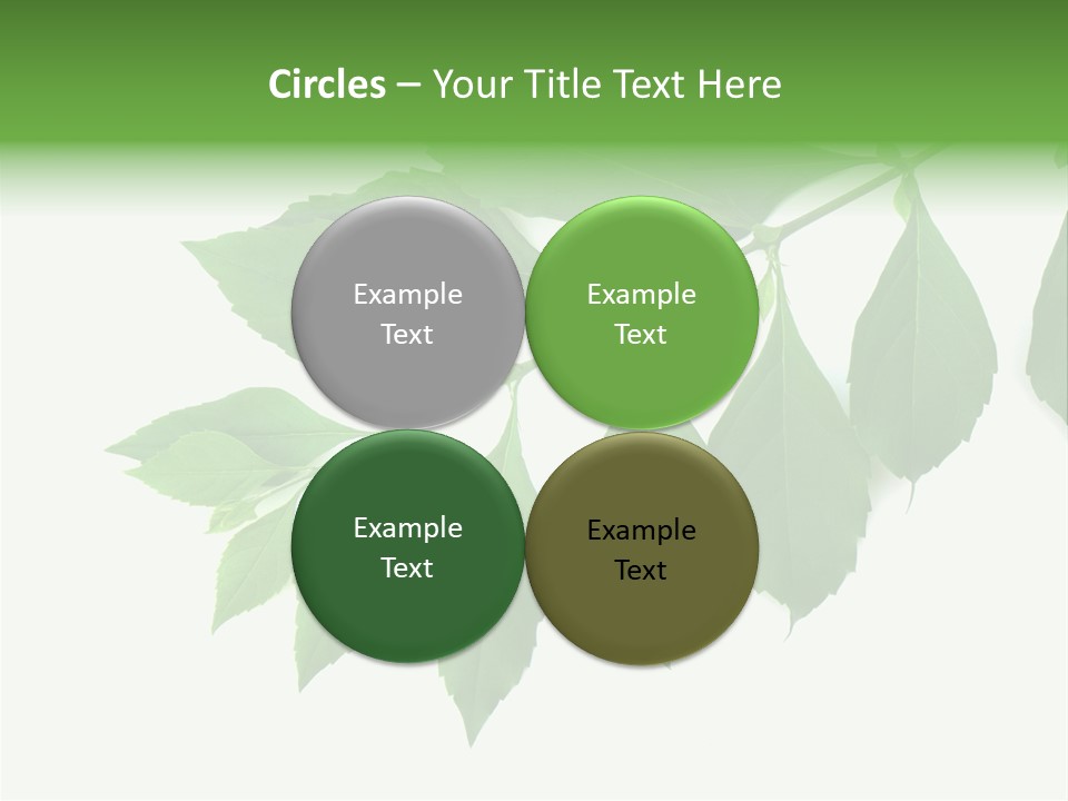 Blue Spring Flower PowerPoint Template