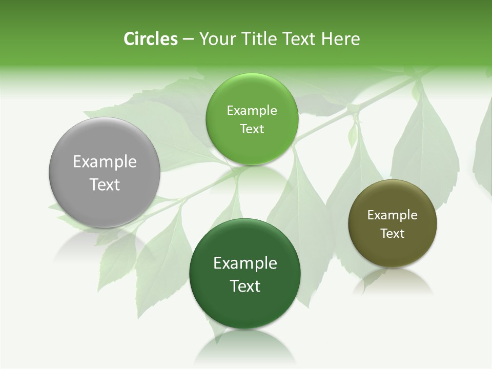 Blue Spring Flower PowerPoint Template