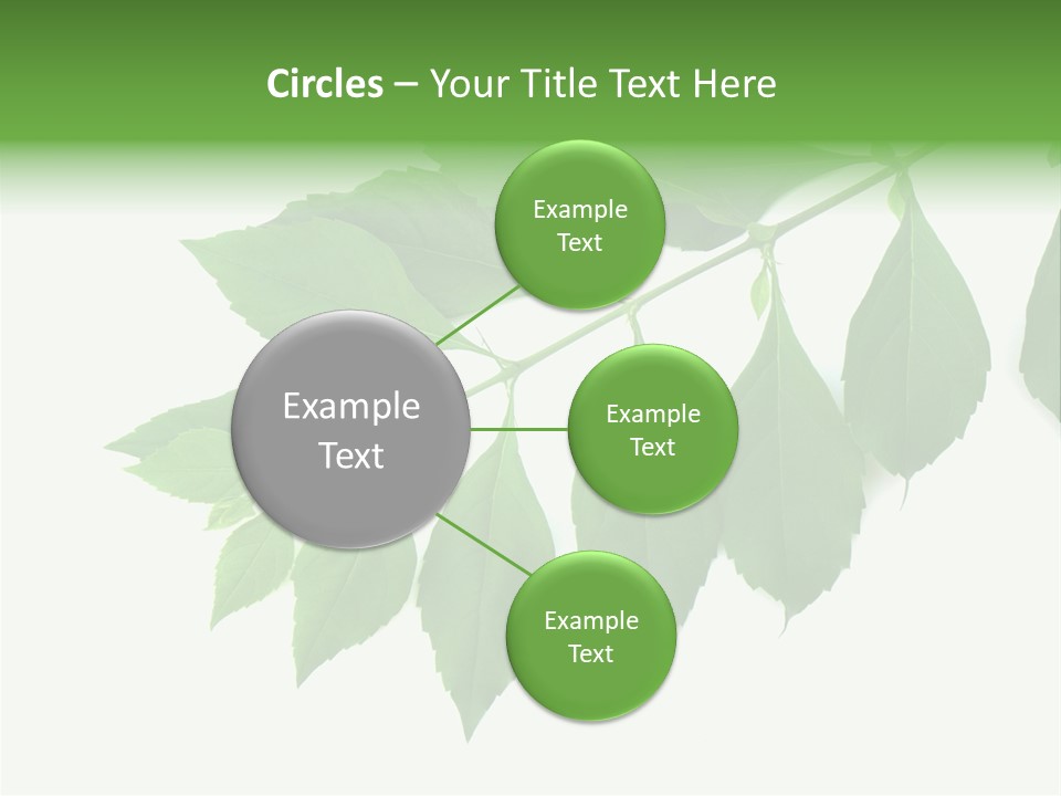 Blue Spring Flower PowerPoint Template