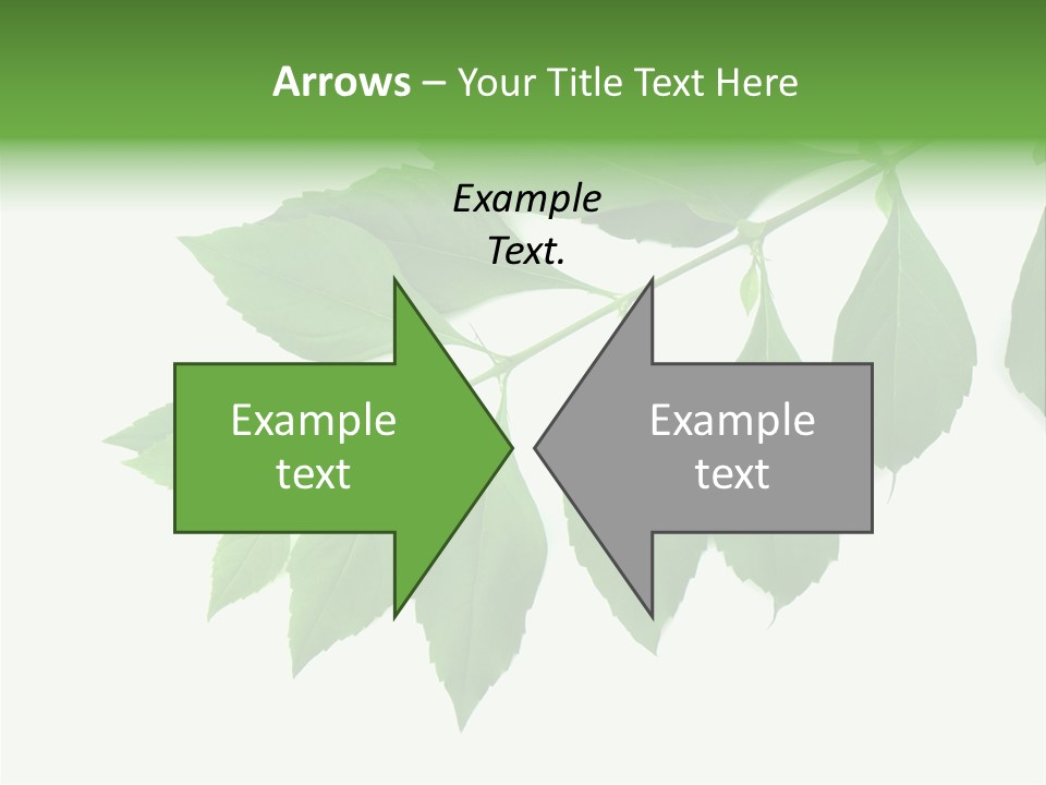 Blue Spring Flower PowerPoint Template