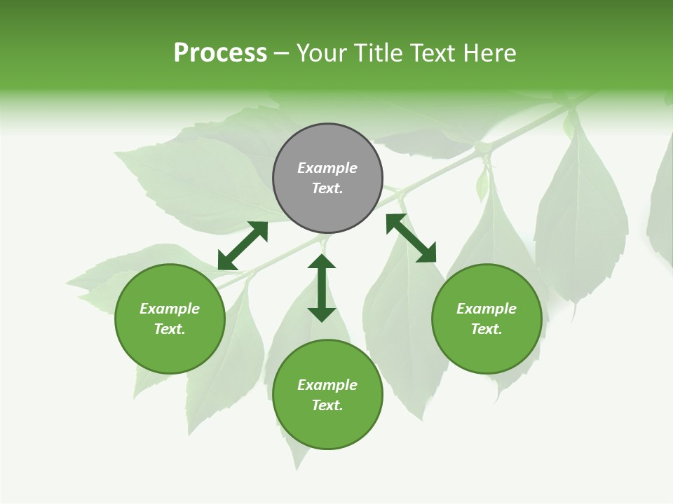 Blue Spring Flower PowerPoint Template