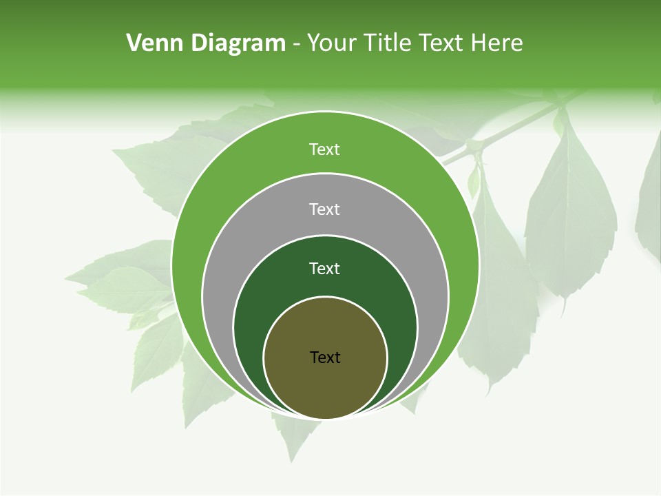 Blue Spring Flower PowerPoint Template