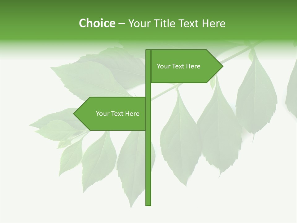 Blue Spring Flower PowerPoint Template