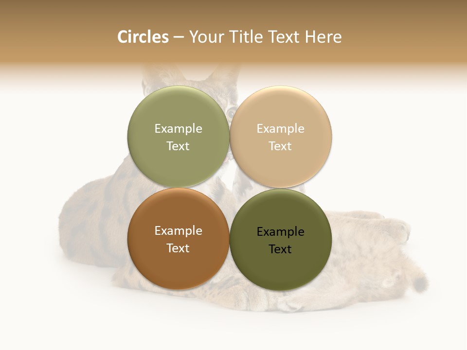 Majestic Tuft Mother PowerPoint Template