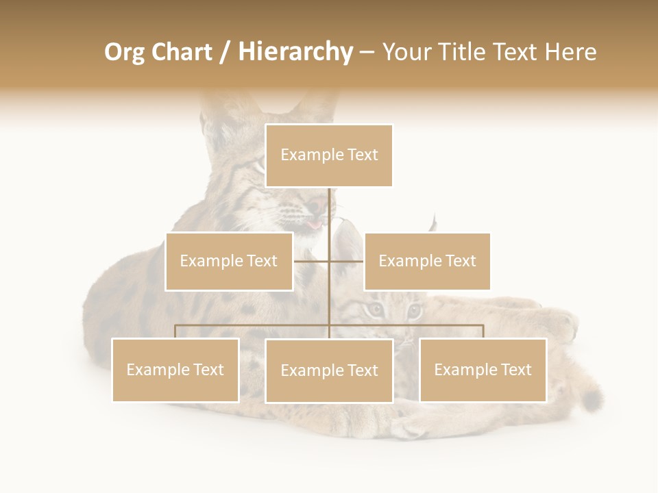 Majestic Tuft Mother PowerPoint Template