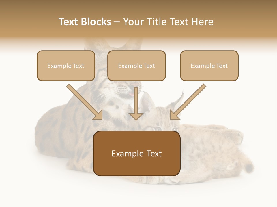 Majestic Tuft Mother PowerPoint Template