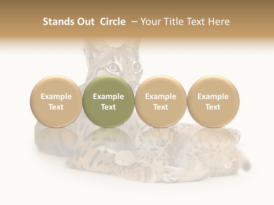 Majestic Tuft Mother PowerPoint Template