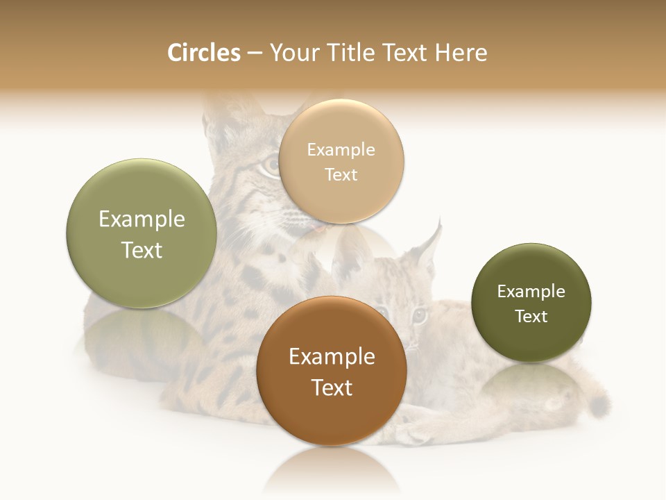 Majestic Tuft Mother PowerPoint Template