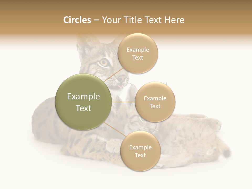 Majestic Tuft Mother PowerPoint Template