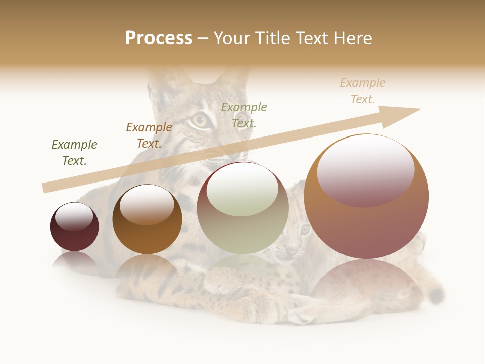 Majestic Tuft Mother PowerPoint Template