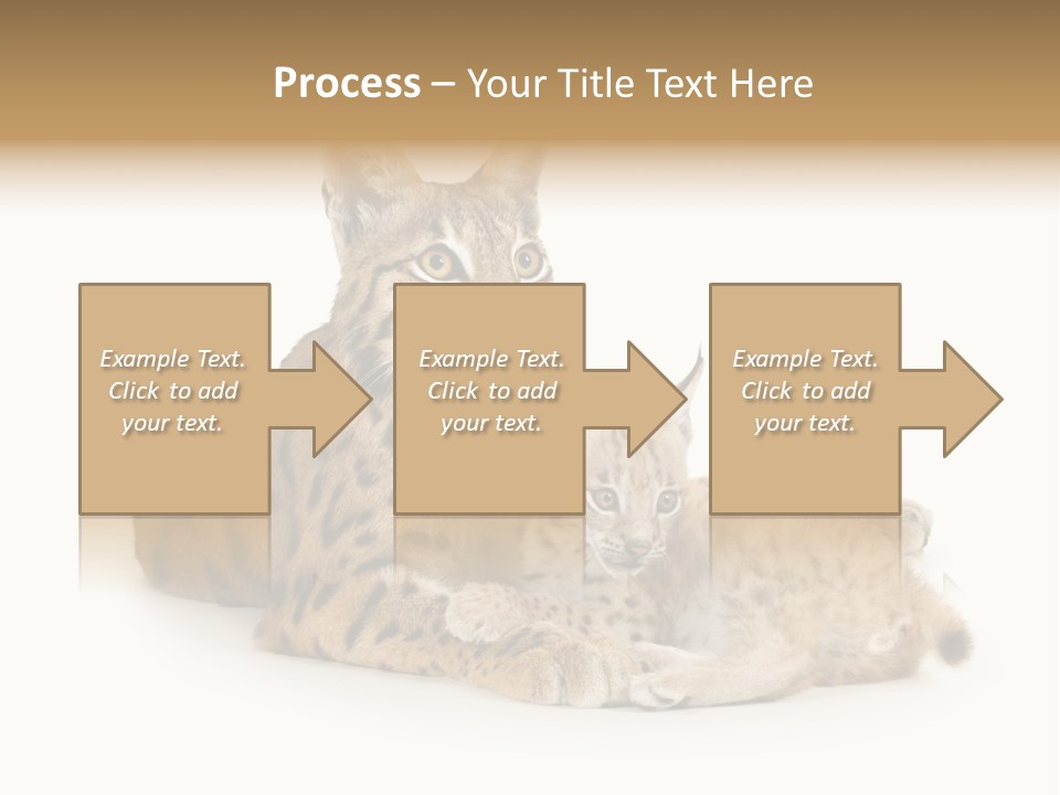Majestic Tuft Mother PowerPoint Template