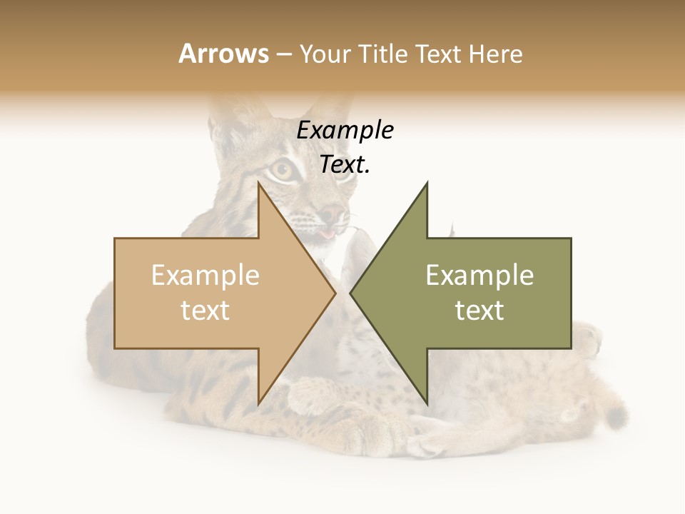 Majestic Tuft Mother PowerPoint Template