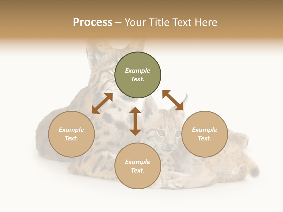 Majestic Tuft Mother PowerPoint Template