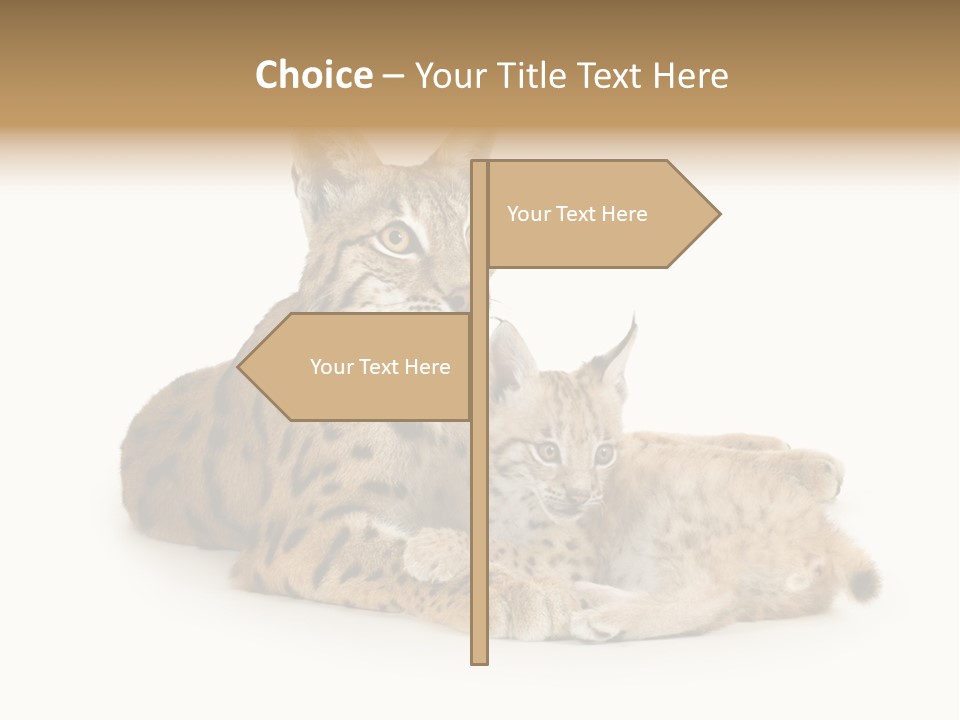 Majestic Tuft Mother PowerPoint Template