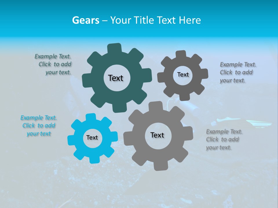 Poisson Ange Red Sea Ange PowerPoint Template