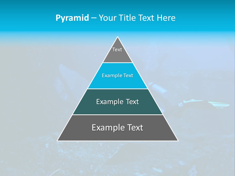 Poisson Ange Red Sea Ange PowerPoint Template