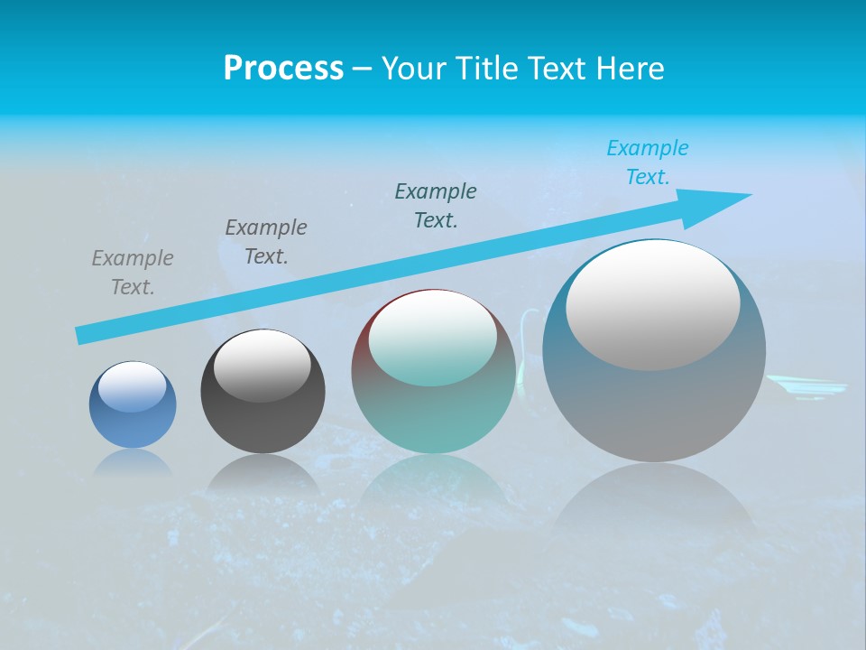 Poisson Ange Red Sea Ange PowerPoint Template