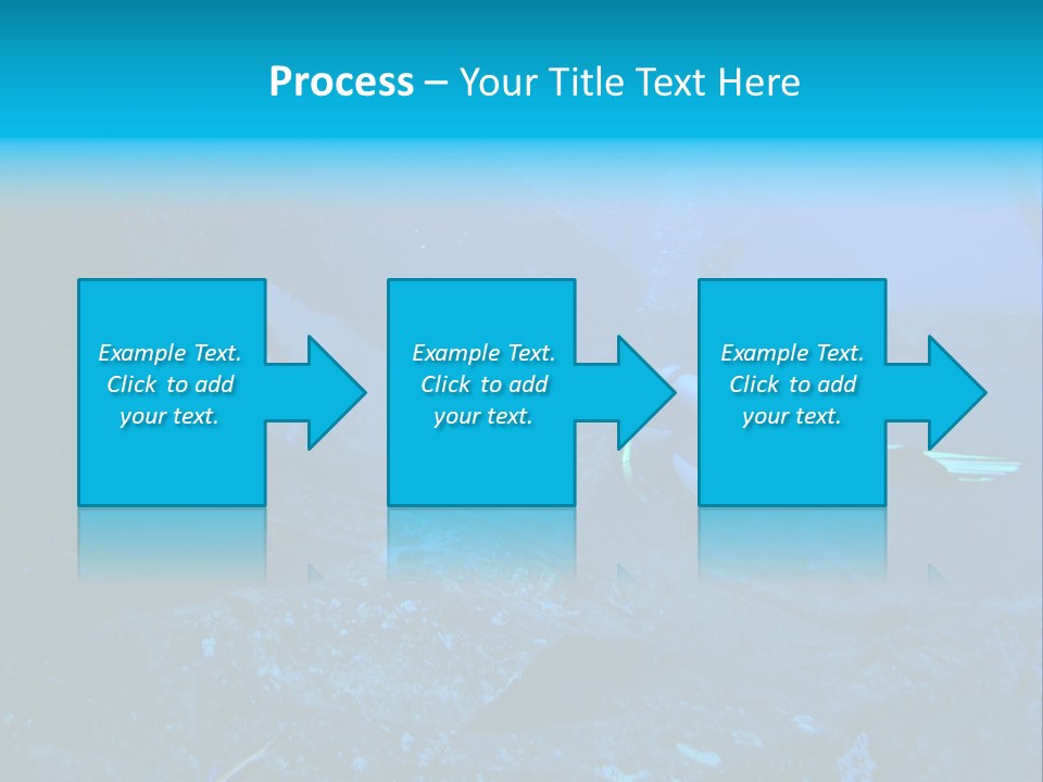 Poisson Ange Red Sea Ange PowerPoint Template