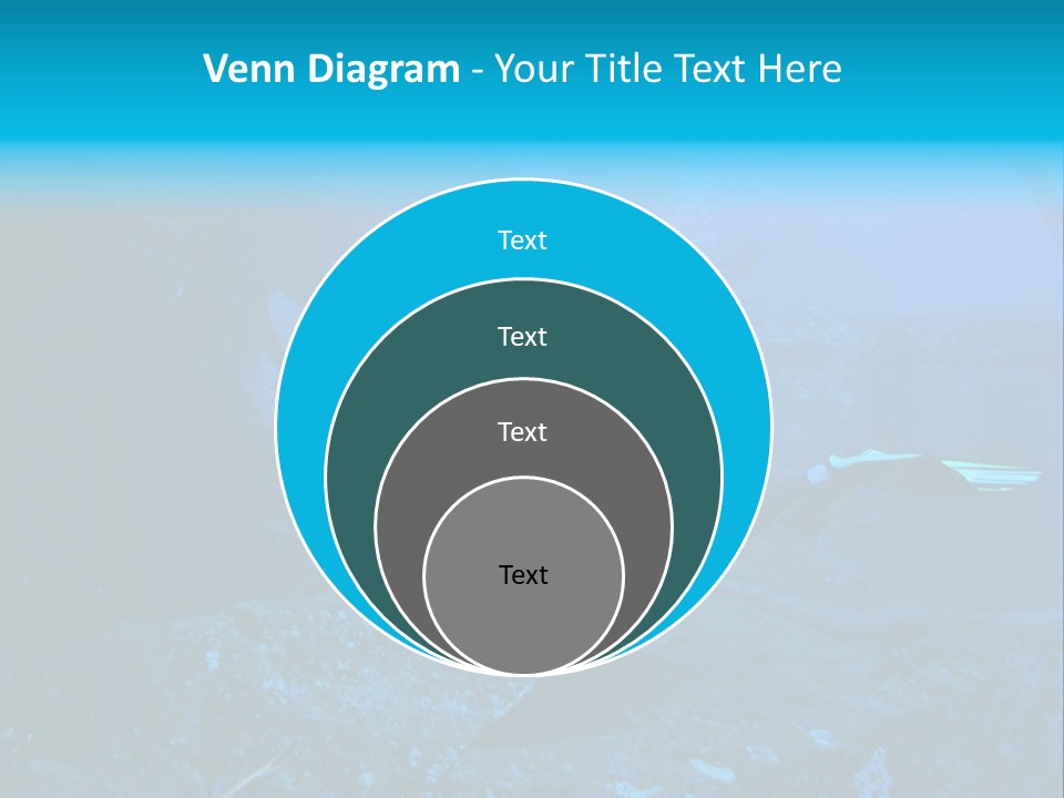 Poisson Ange Red Sea Ange PowerPoint Template