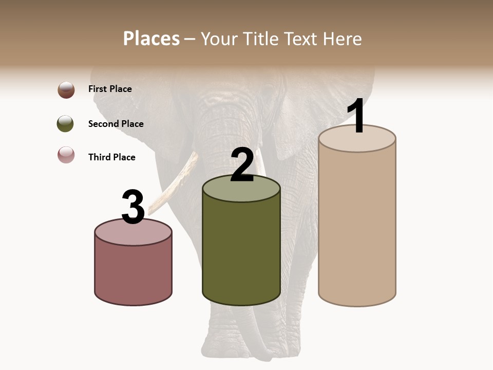 Ivory Single Standing PowerPoint Template