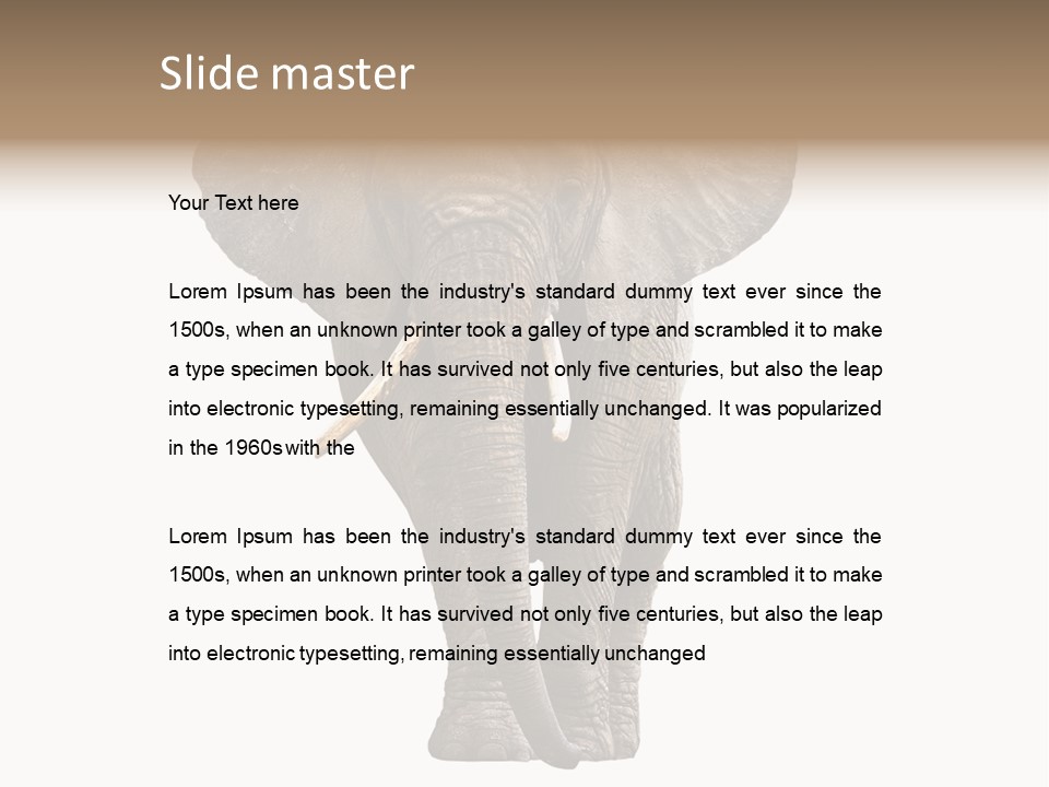 Ivory Single Standing PowerPoint Template