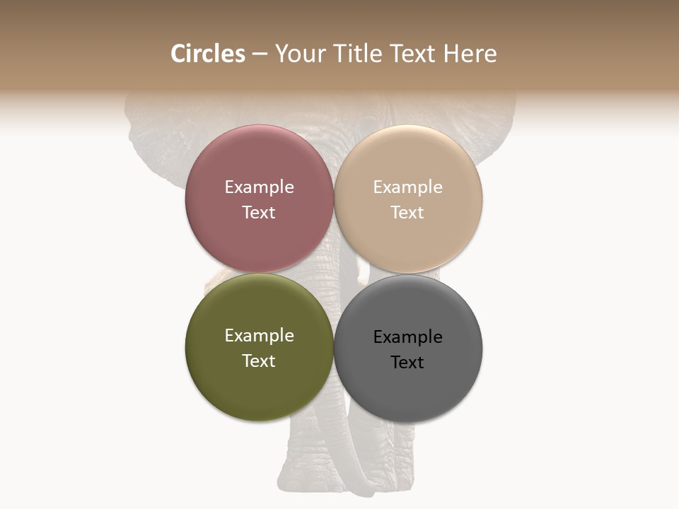 Ivory Single Standing PowerPoint Template