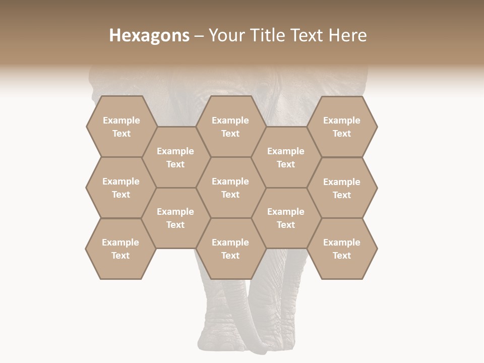 Ivory Single Standing PowerPoint Template