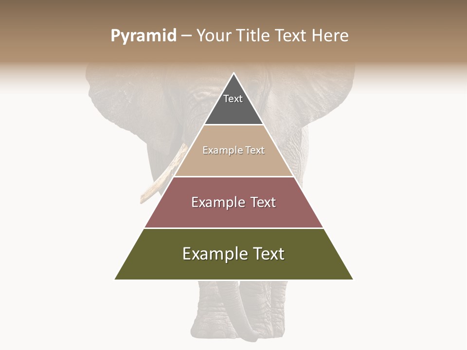Ivory Single Standing PowerPoint Template