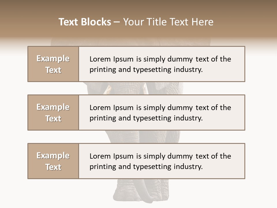 Ivory Single Standing PowerPoint Template