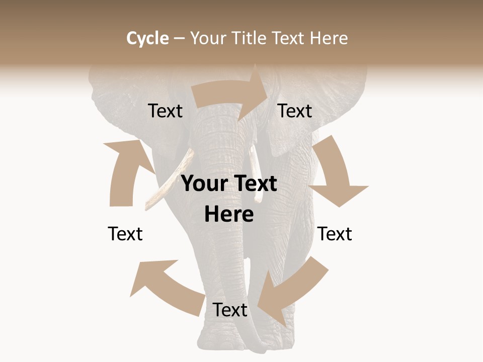 Ivory Single Standing PowerPoint Template
