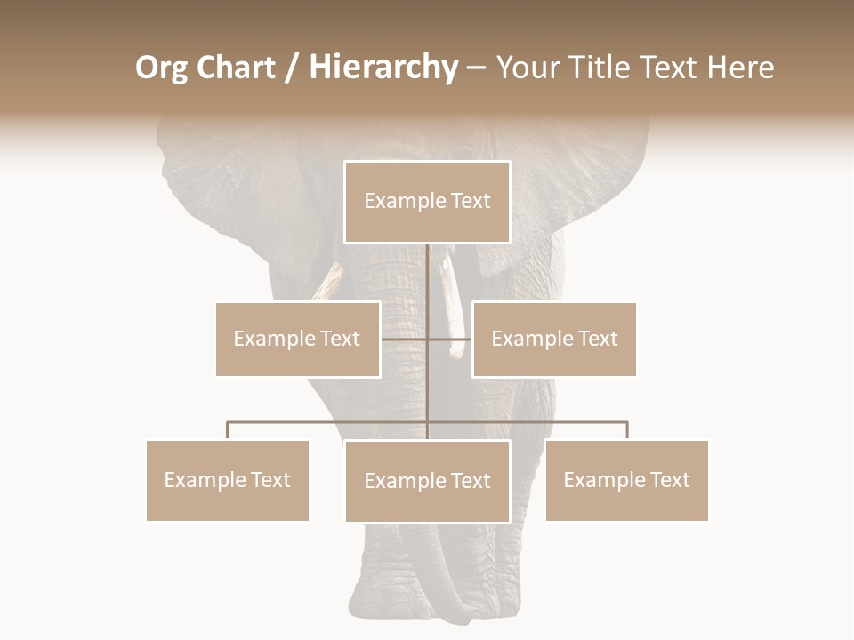 Ivory Single Standing PowerPoint Template