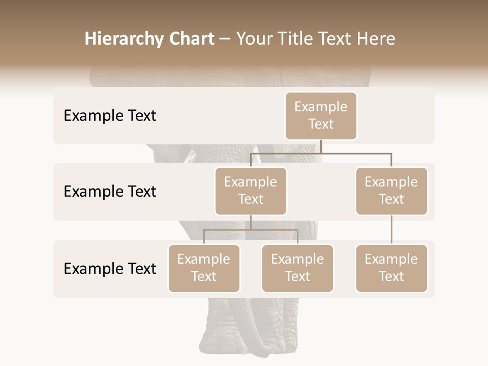 Ivory Single Standing PowerPoint Template