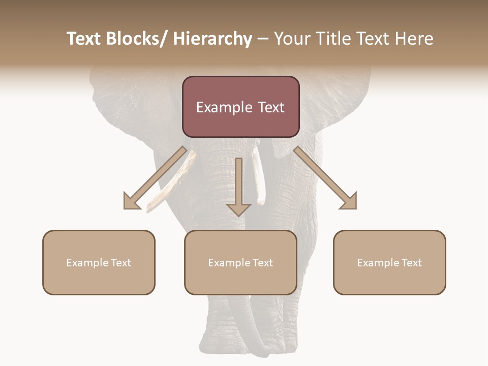 Ivory Single Standing PowerPoint Template