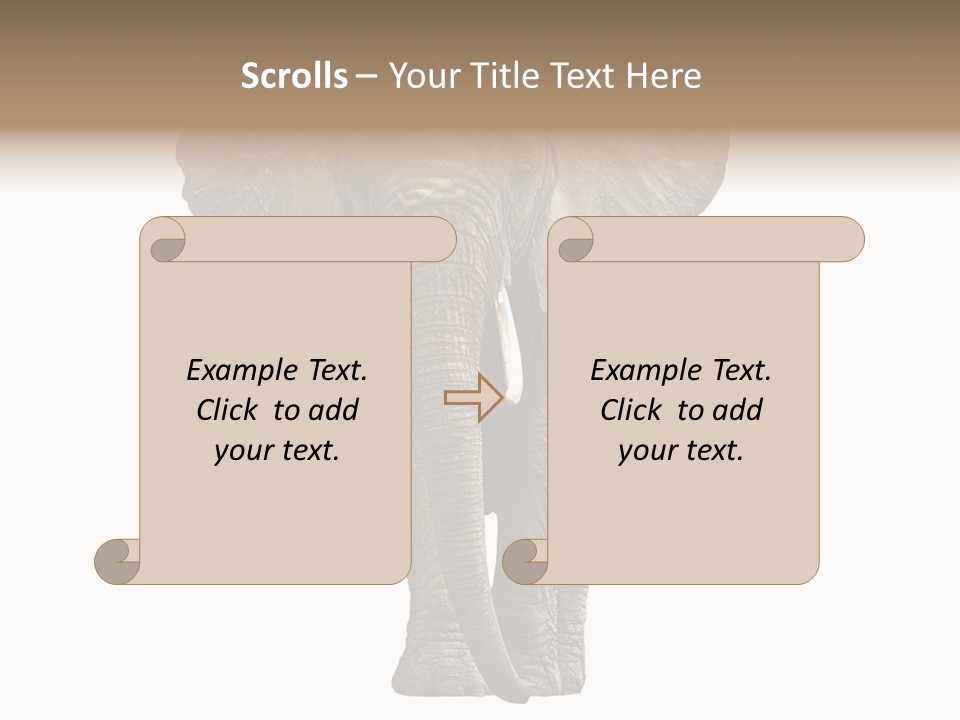 Ivory Single Standing PowerPoint Template