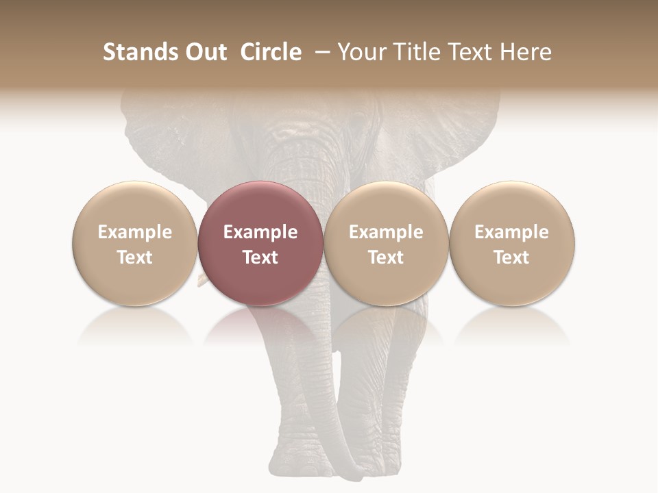 Ivory Single Standing PowerPoint Template