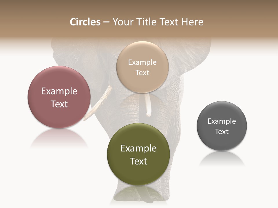 Ivory Single Standing PowerPoint Template