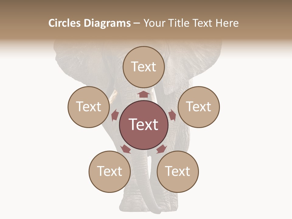 Ivory Single Standing PowerPoint Template