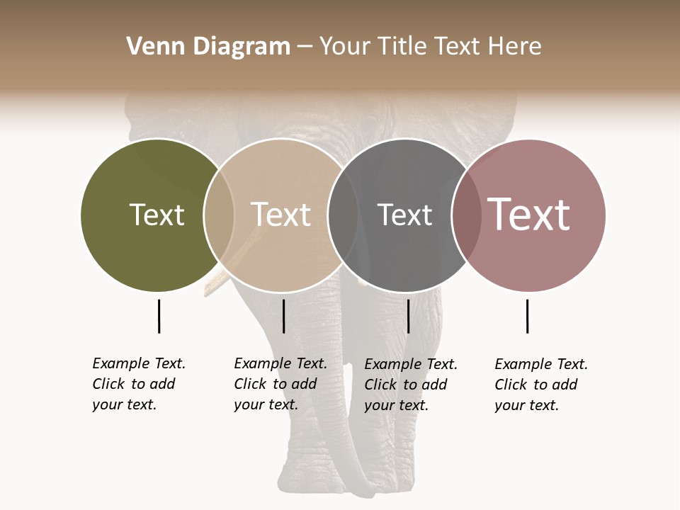Ivory Single Standing PowerPoint Template