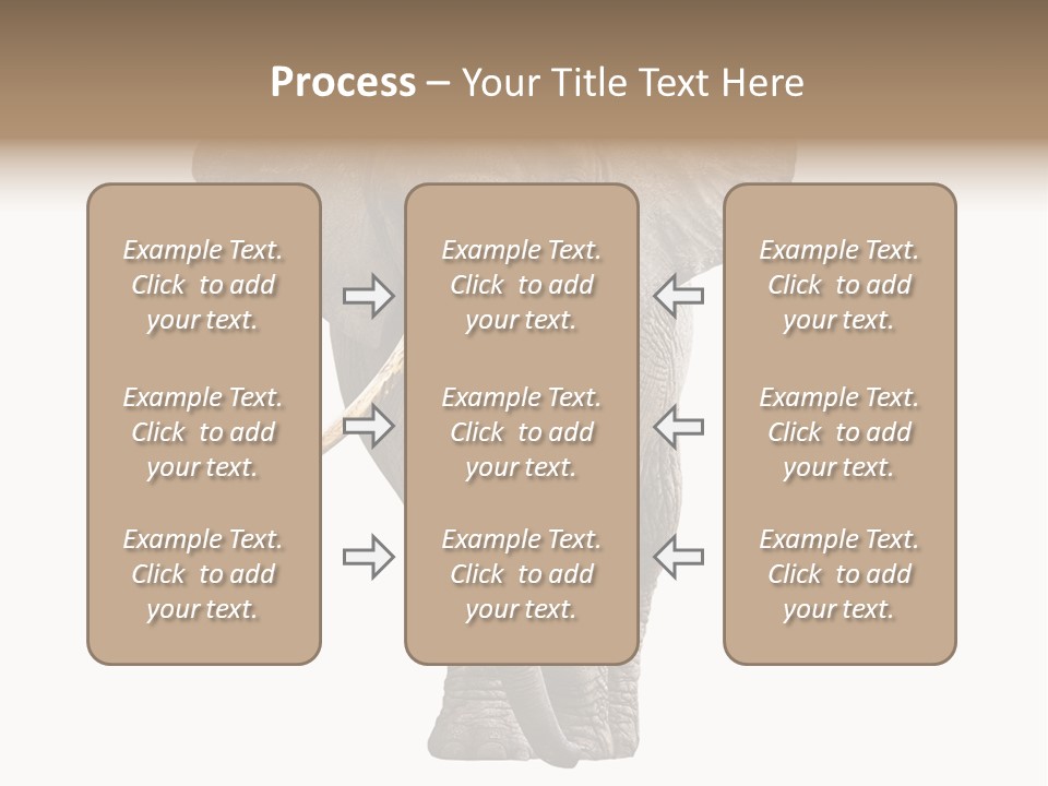 Ivory Single Standing PowerPoint Template