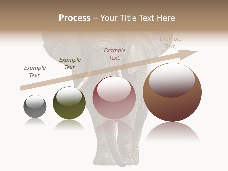 Ivory Single Standing PowerPoint Template